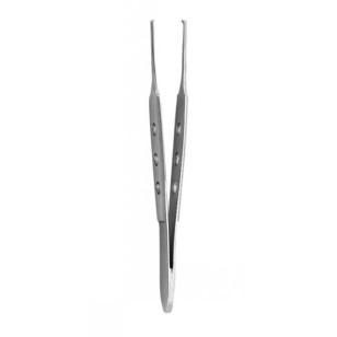 Evêque Harmoniques Forceps